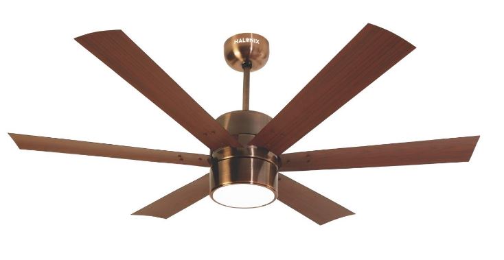 ceiling fans with light review
