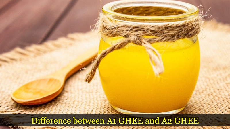 Difference between A1 GHEE and A2 GHEE